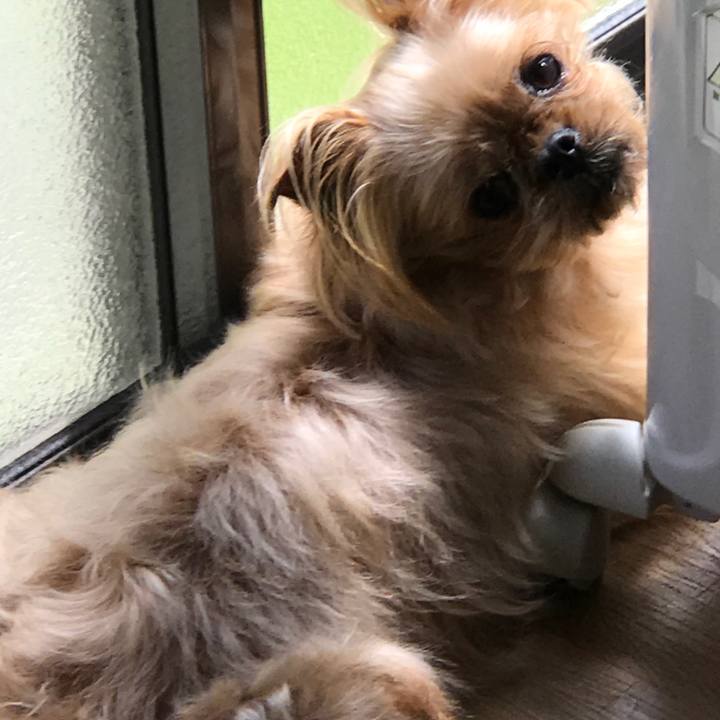 728c5464 0556 4963 bdf4 491d46c84b5b