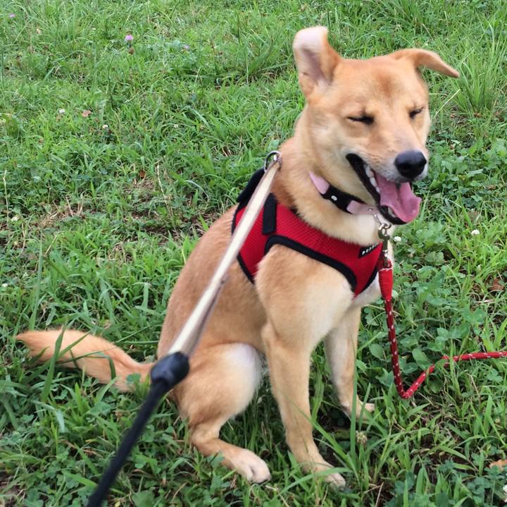 728c56aa bc8c 4ce5 ac9e 1eb43c1237e9