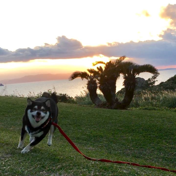 728cc14d fd4d 4dcf acb7 babc0ba3fc5c