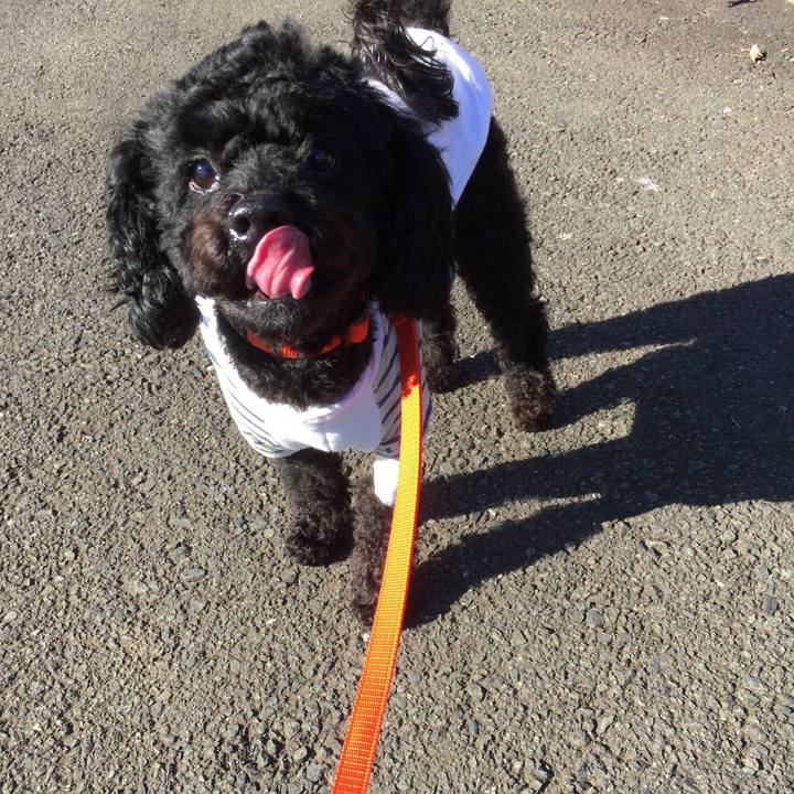 728cd4c4 11a6 40f9 9e64 122c37786b57