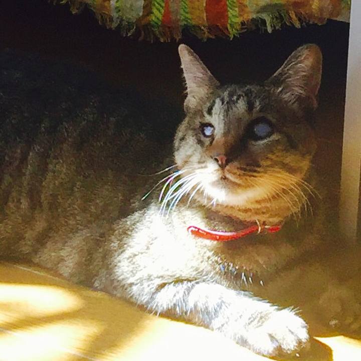 728cd814 11b9 4ba3 9030 77b24f7b7bf3