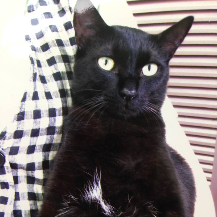 728ce714 79df 435d 8c23 54f05b34af02