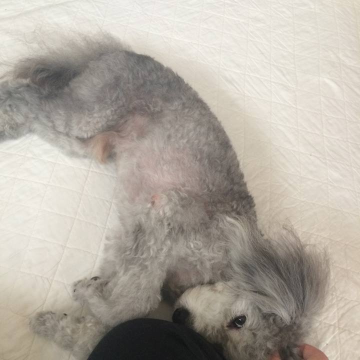 728cea46 d1f8 4450 a288 ea8fbcaf34a8