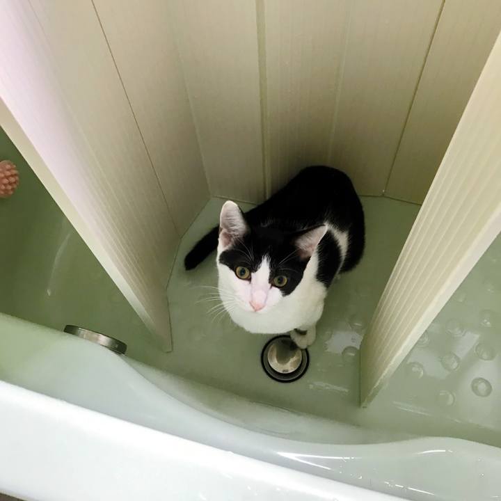 728d41e2 0500 4581 ac98 fc85c6537dd4