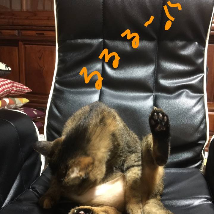 728d7788 0a05 49f6 a88a 6cc0b7ee9d78