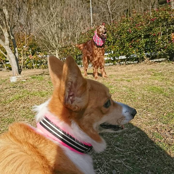 728e1d6d 3d72 454a a9d1 58dc226a36c1