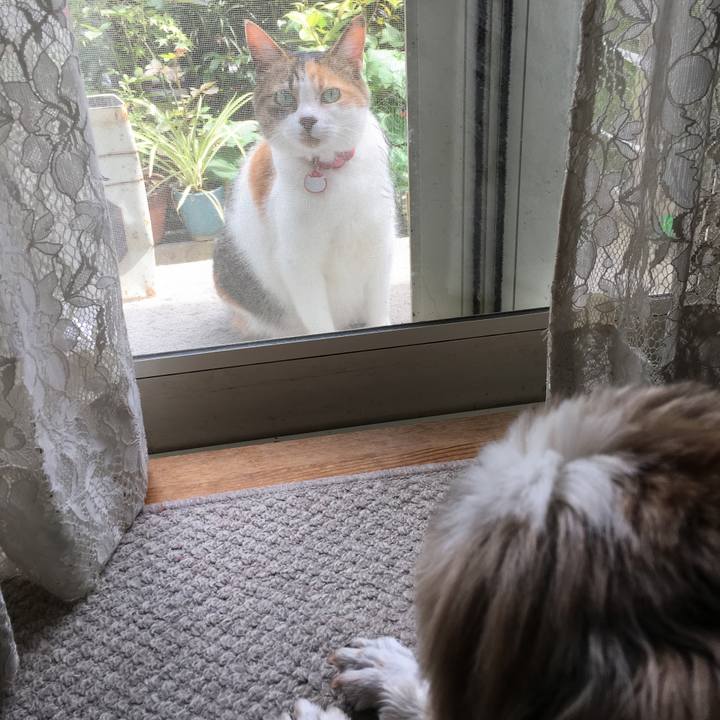 728e6023 04a4 459b a691 5e9d78128ace