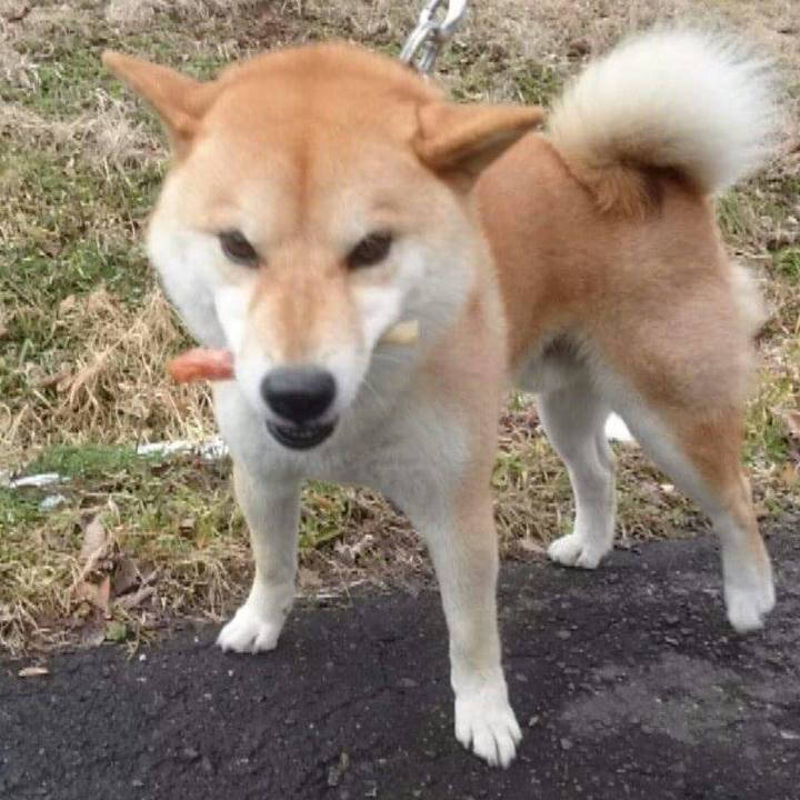 7290cd79 89c7 4b6e 9421 7bd4be38a1bb