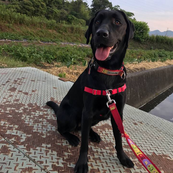 7291291b b6da 4047 bd85 415c084b6544