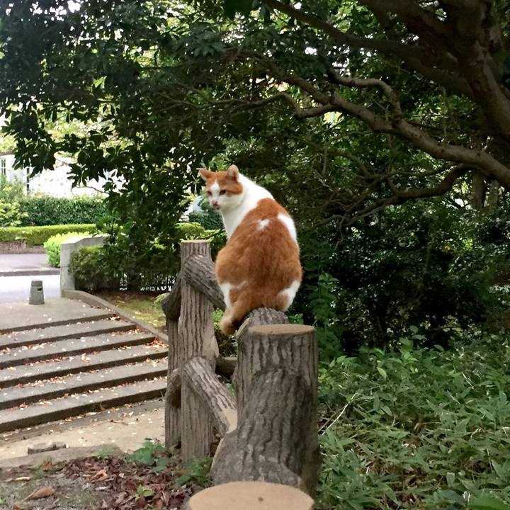 729177c8 7fab 4d62 b670 2c68780252d5