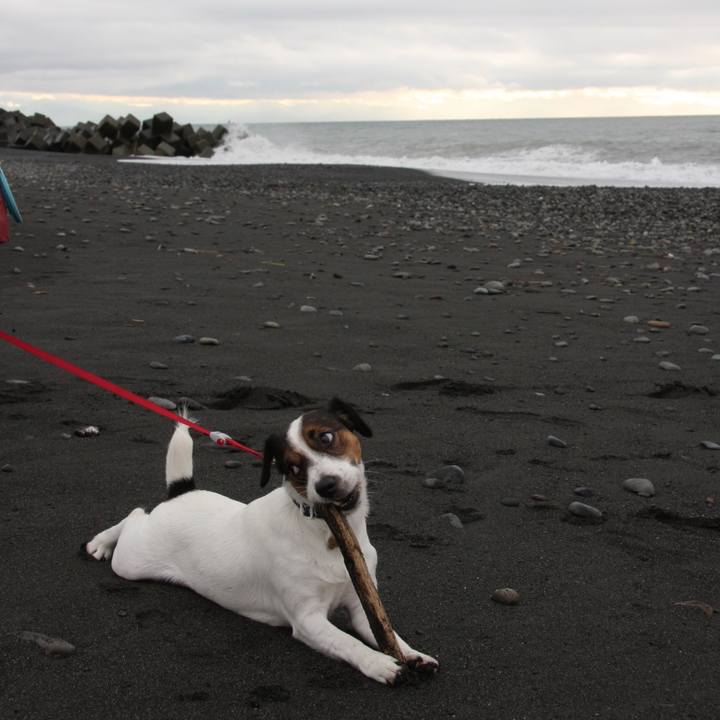 7291885a df5e 4b58 8d78 fb40dbd3aab0