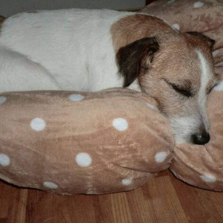 7291a359 d126 4758 9f5a 0dd419d619ea