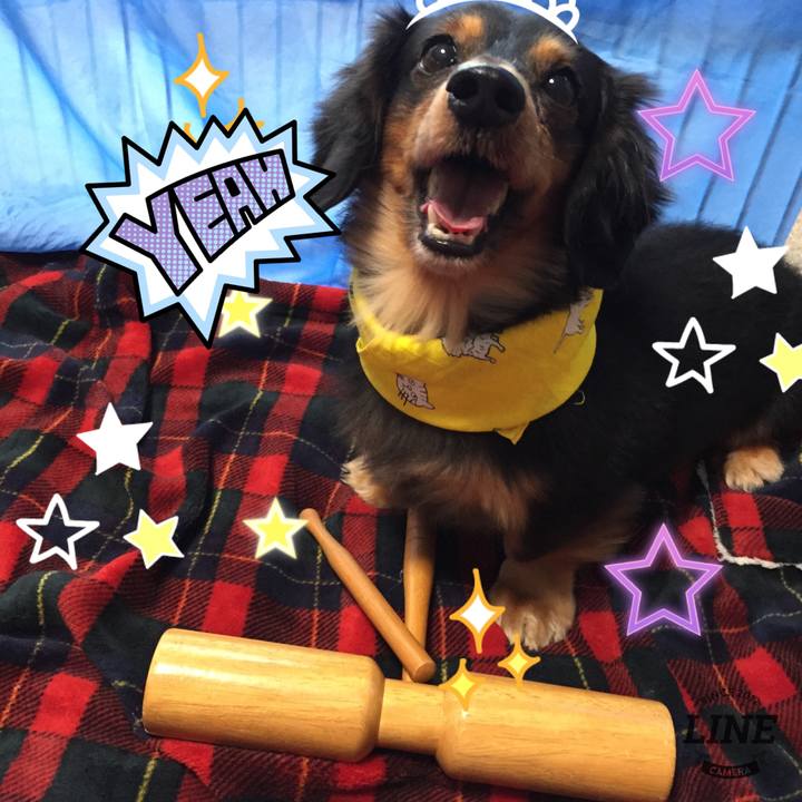 7291bfa2 8bc6 442e a160 ee9a344c18ce