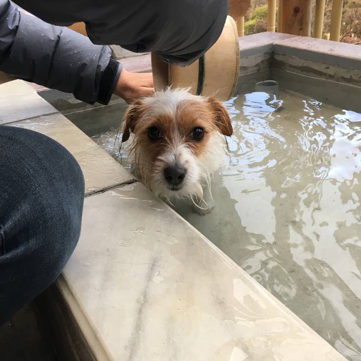 72923c4c 3083 460c bdf7 3e82019ac974