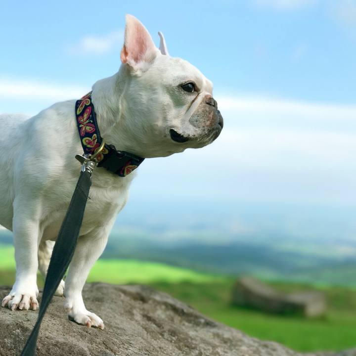 72935cef 3c08 4791 940d a74addcaf529