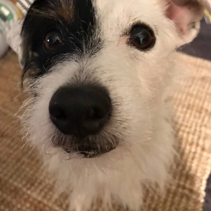 7294ada3 ad40 4dbd 9835 cf9c5598e0cd