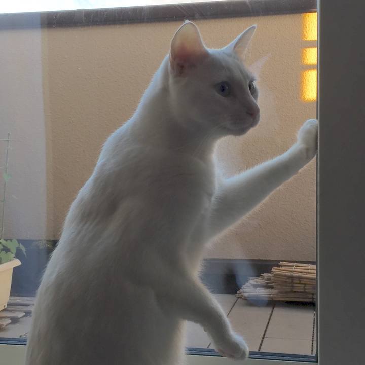 7294becf 6740 4160 80a3 ee949a863c8a