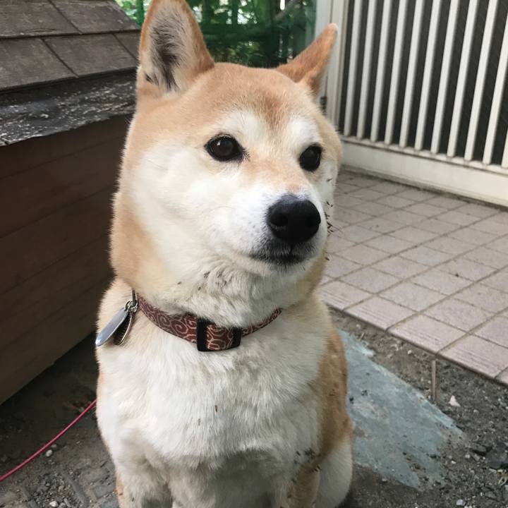 72951997 362b 4206 952c ca4670271fae