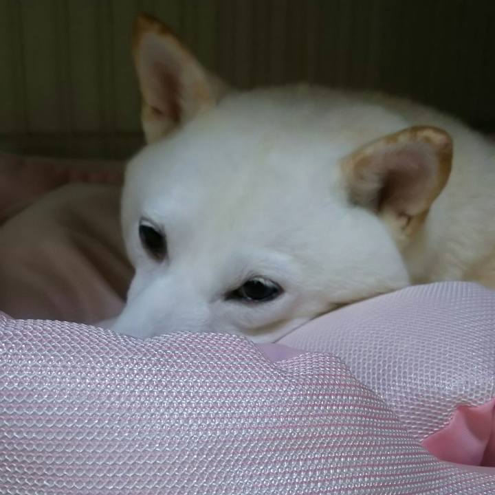 729559cf 572c 4297 8423 985ddcd612e7