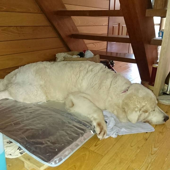 72957282 01e8 4bd8 a550 1891fcaf11d3