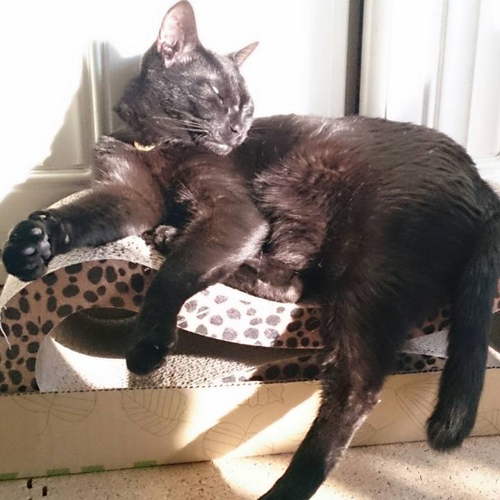 72958130 9da3 4b38 8085 b135a83026a0