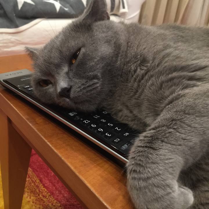 7295819c 9079 45ee bead 832349b119d5