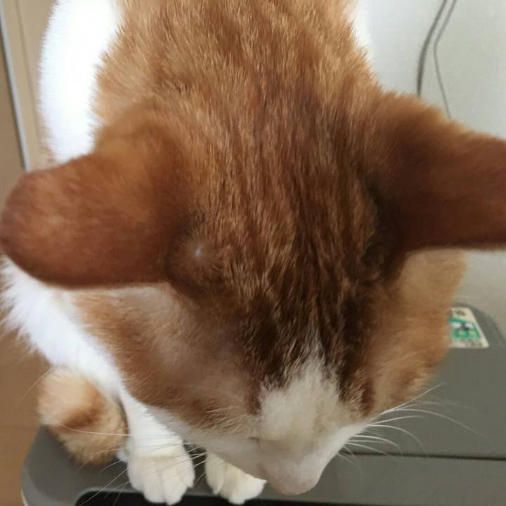 72963a65 de50 4c6c b288 28c6d6a236df