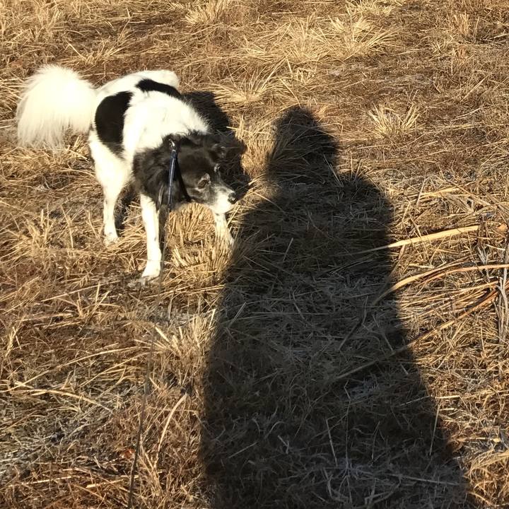 7297396c 9e9c 403b b8af 51f0888eca68