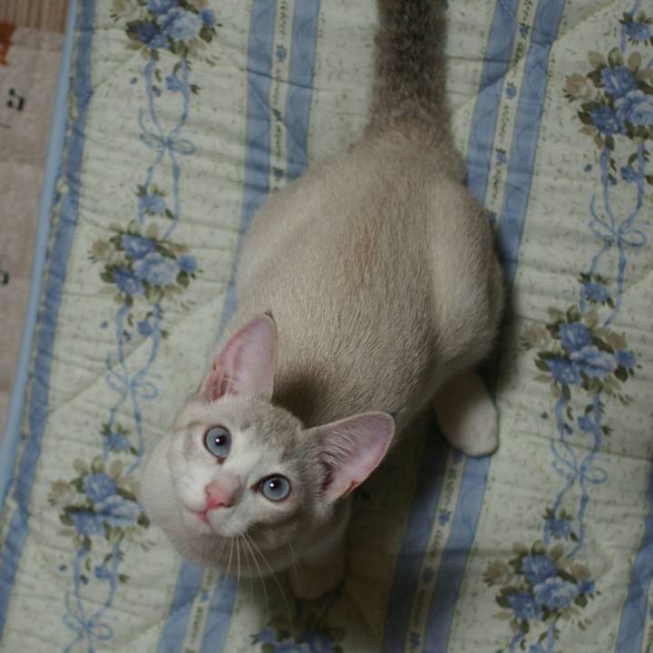 72985271 e5a0 4b02 b75a 2762a25ea6f8