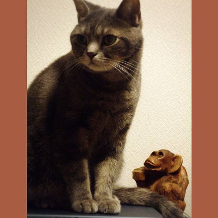 7298a50e c085 475e 9b28 8ffcd40666eb