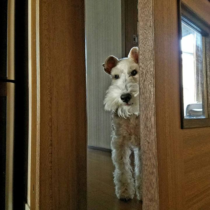 7298de7e 7a01 4ed1 b097 85227bf5325d