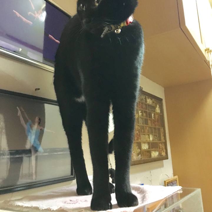 72990c34 fbbd 4af4 8ab1 a07e9d1f1528