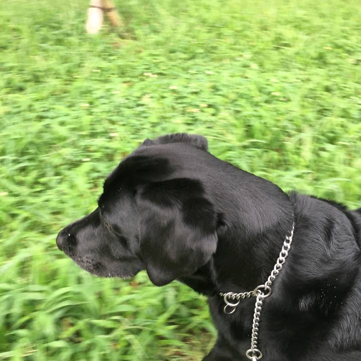 729a0bb3 00ec 403f 9eb2 0b24ad151208