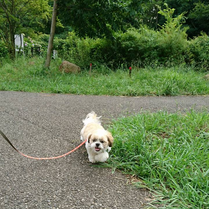 729ab294 ce6f 46ad 8450 6b8b3f4a87dc