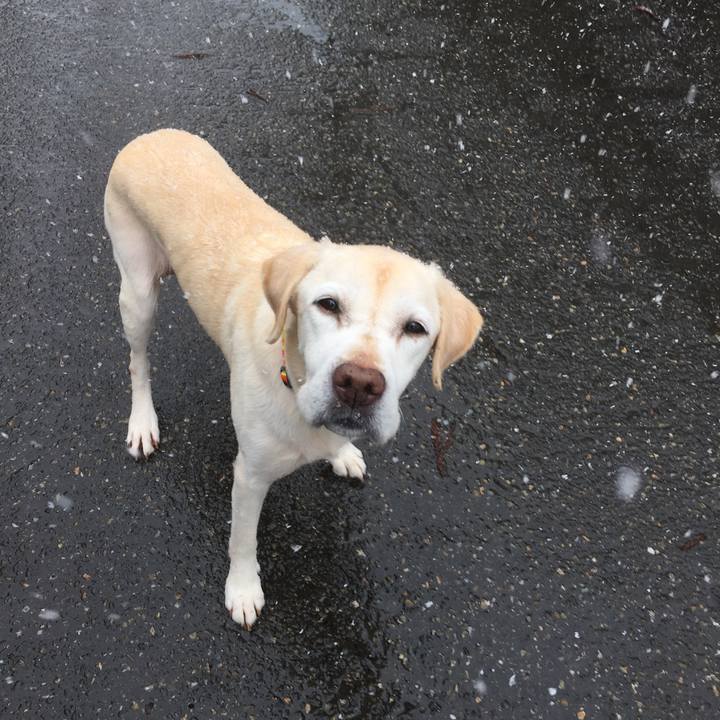 729b3920 9810 4757 9759 f81092d216c2