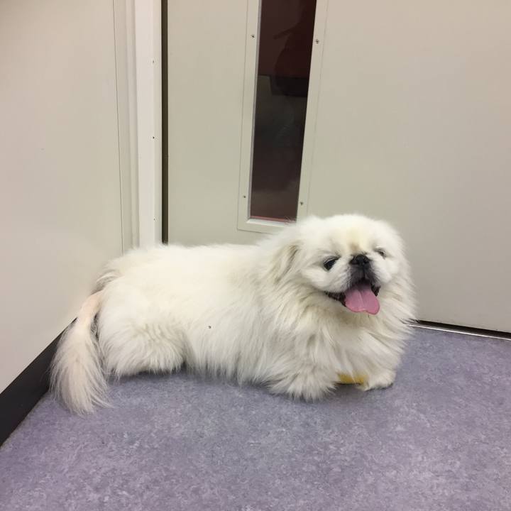 729b485d 56fb 4a28 9d27 ff51dba855fa