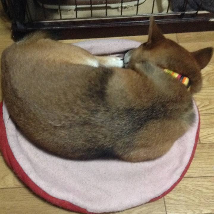 729bdc25 d821 41a2 8137 98192ad49c80