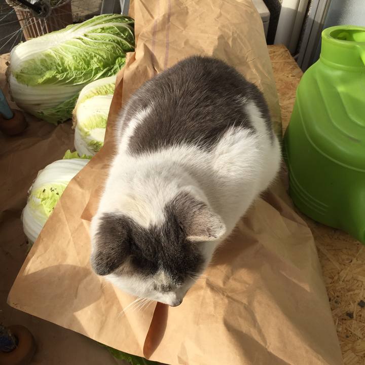 729c7236 b486 4b8d 9338 fe924b30d312