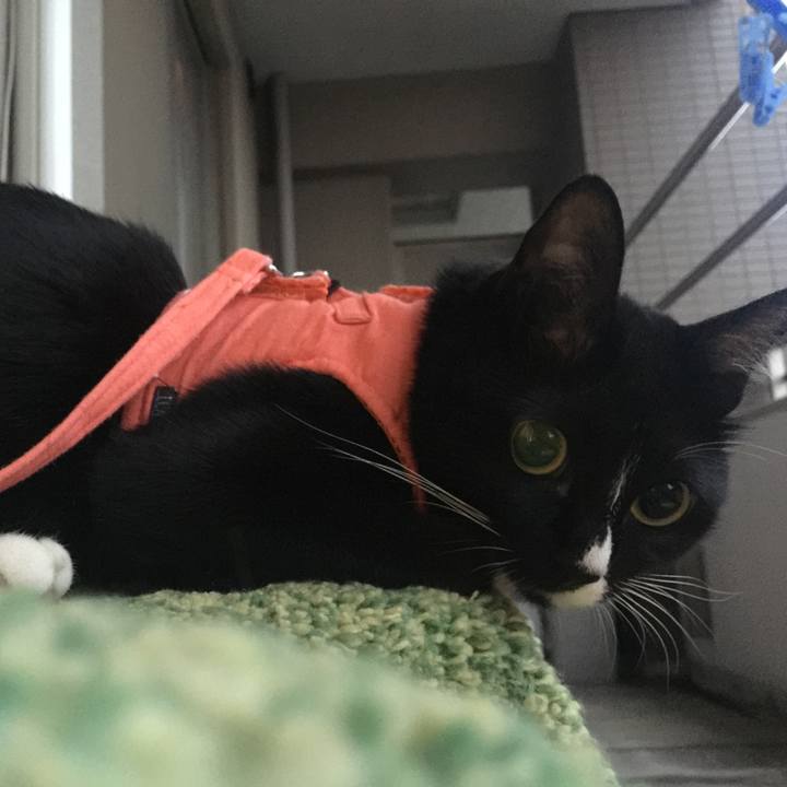 729c7ef9 0175 4fd2 8302 442b4b0d793e