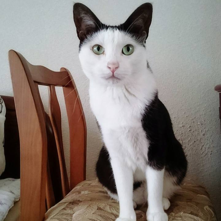 729e38c6 f7a9 49f2 9f53 3a0ba2604928