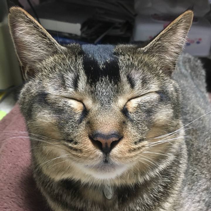 729f3e7d 7c56 4a91 9ec9 056183da2b06