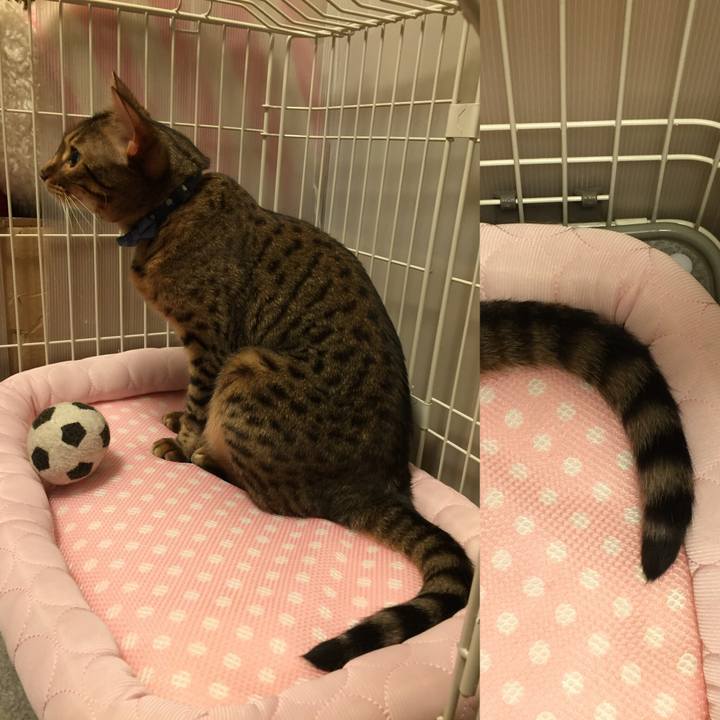 729fbba4 949b 4b00 aa34 6dc185f4bd81