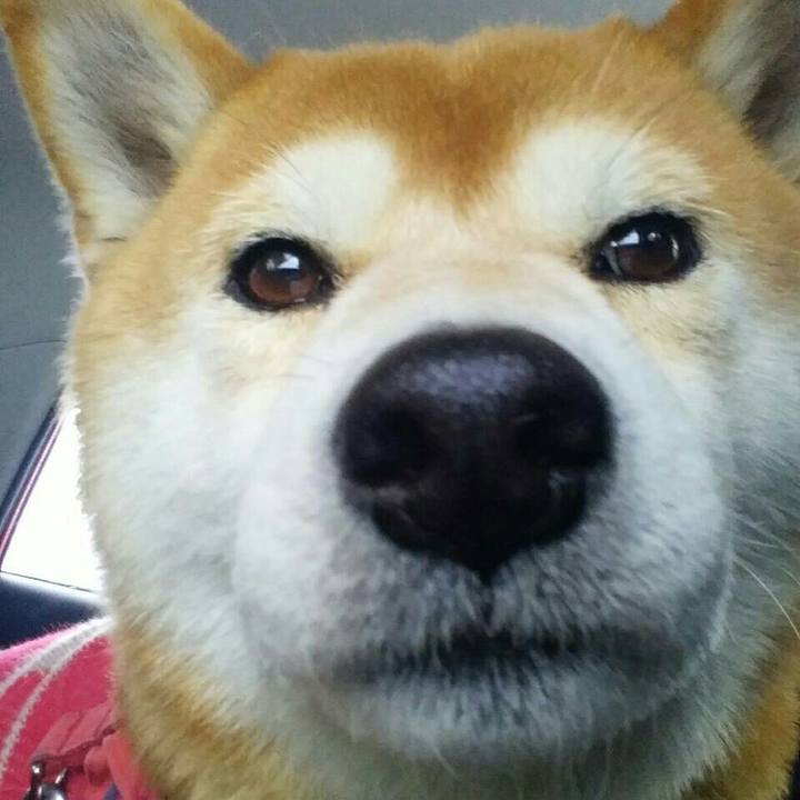 72a0009c cc69 452d a359 5ab2cbb7b283