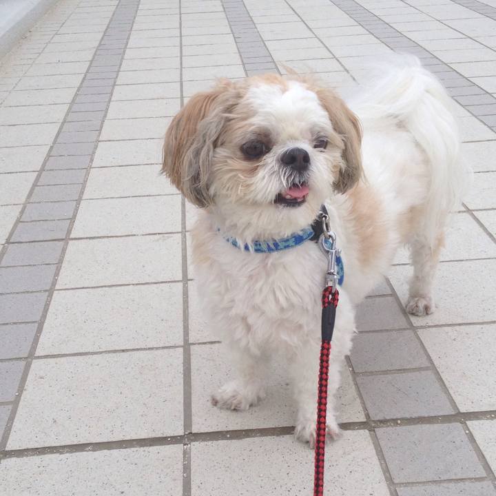 72a002de 9235 4e02 99bf f1b6b6a73777