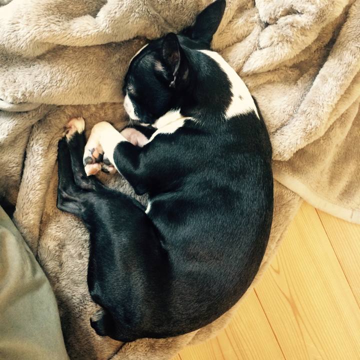 72a178ed 2c24 4ee0 a45b 4b9064396216