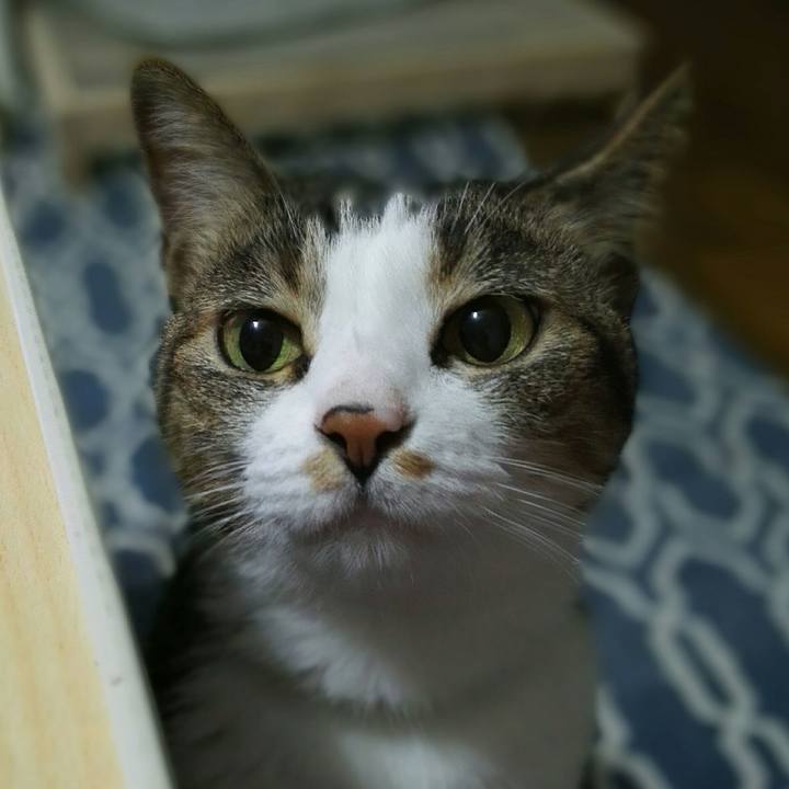 72a1aca3 29fd 4544 adb2 d99cee4c6b18