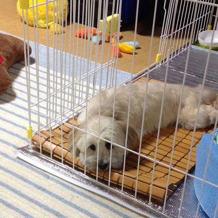 72a25abb c5f7 4cd2 9dbe e55fde9cf229