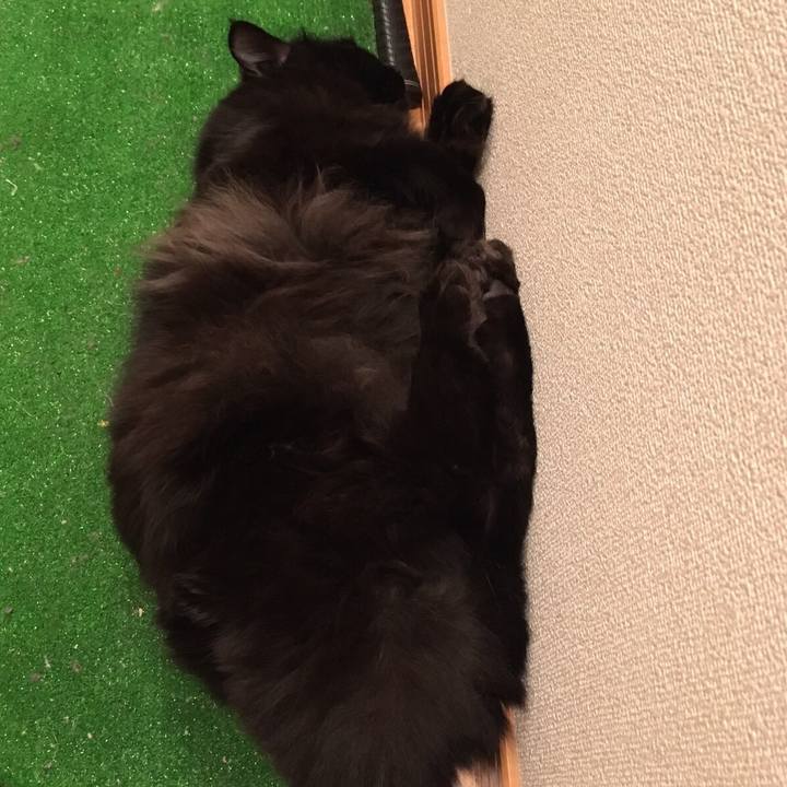 72a27159 2a38 47ce ac2e 82a90bbb3dcb