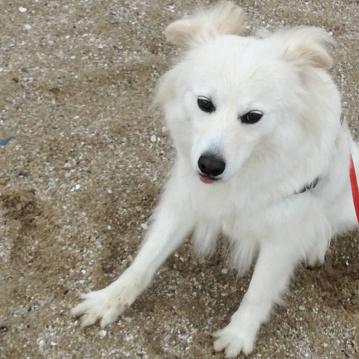 72a27d35 2136 4740 a39b 729e688494ac