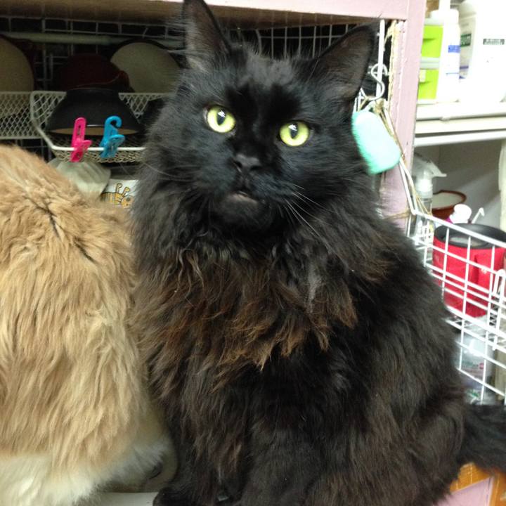 72a2bb57 17c7 4a5f bcaa f8c7579e2a2e